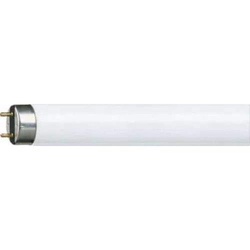 Fluorescent Tube 2 FT T5