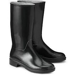 Gumboot